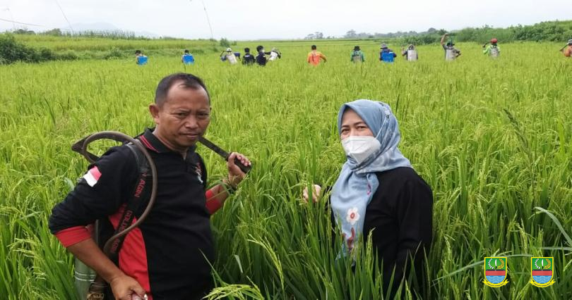 Pengelolaan Keuangan untuk Meningkatkan Usaha Pertanian Petani